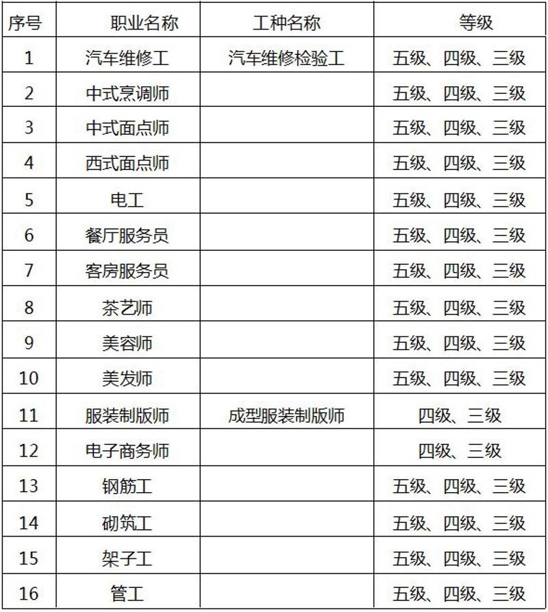 把握未来职场机遇：技能等级认定平台引领变革